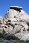 13JoshuaTree - 72